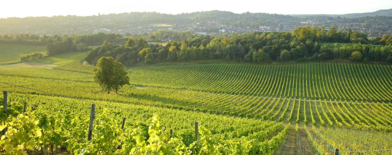 Denbies Vineyard Hotel Dorking Exterior foto