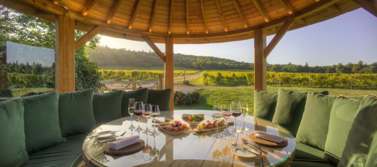 Denbies Vineyard Hotel Dorking Exterior foto