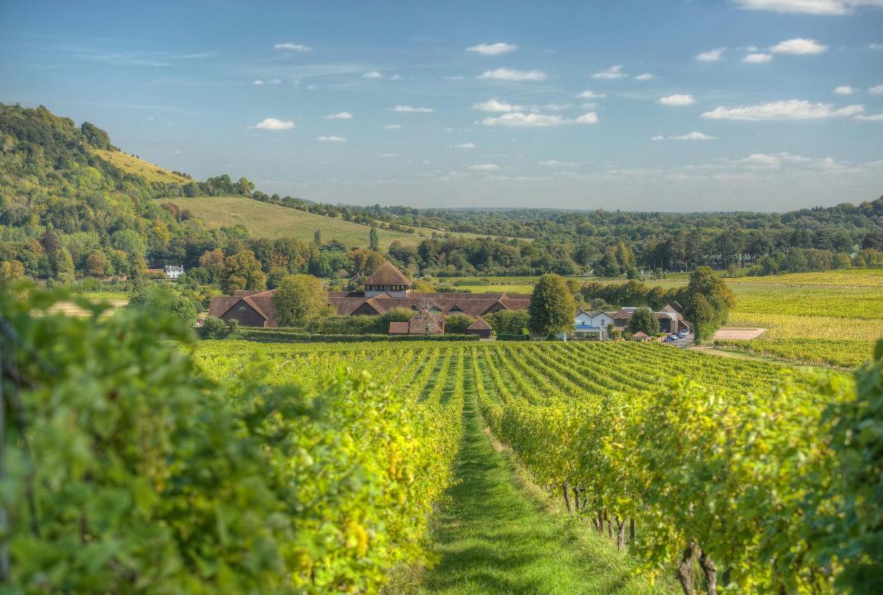 Denbies Vineyard Hotel Dorking Exterior foto